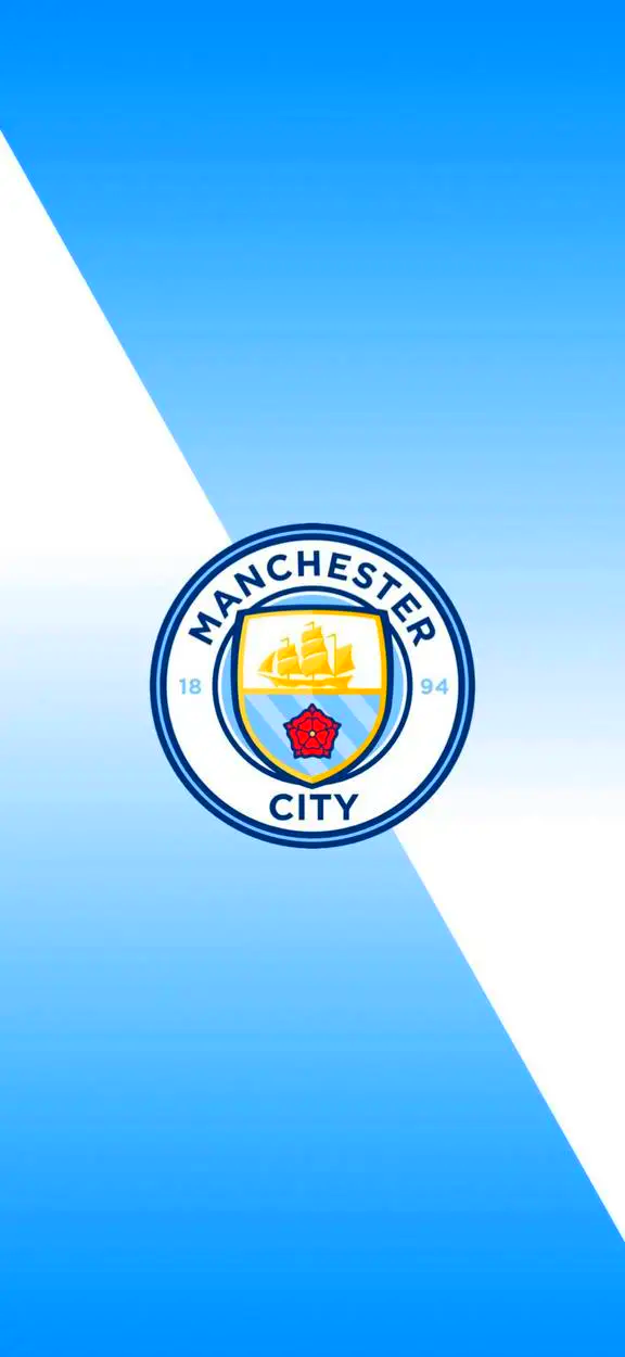 但选择保守 但选择保守